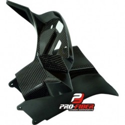 Conduits d'air carbone Pro Fiber pour Bmw S1000RR (2015-2018)