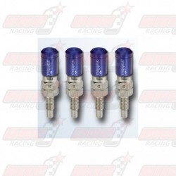 Lot de 4 Vis de purge automatique STAHLBUS M6x1.0x16 acier capuchon bleu