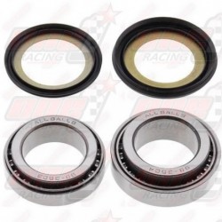 Kit roulement de direction All Ball Racing pour Kawasaki EX / KZ et KTM Duke 390 (2015-2016)
