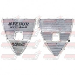 Radiateur eau/huile racing Febur avec durites huile pour Aprilia RSV 1000 (2004-2008)