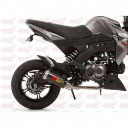 Ligne MGP Exhaust avec silencieux finition Carbone/Inox pour Kawasaki Z125 (2016)
