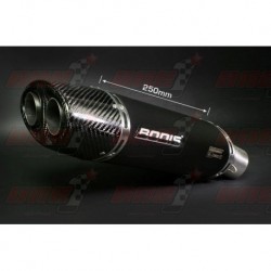 Silencieux Bodis OVAL Q1 [inox noir] pour Honda CBR600 RR (2003-2004)