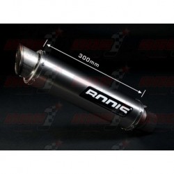 Silencieux Bodis GP1 [inox/titane] pour Kawasaki NINJA ZX-10R (2008-2010)