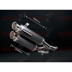 Silencieux Bodis GPX2-S verion catalysé [inox meulé] pour Yamaha FZ1 (2006-2016)