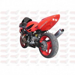 Passage de roue Hotbodies couleur Accurate Silver Metallic (12) avec feu stop et clignotants leds pour Honda CBRF4i (2001-2003)